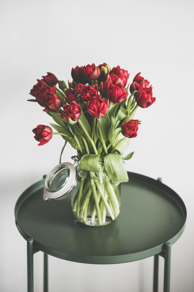 Vase of red tulips on green table