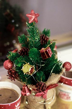 Mini Christmas tree beside cup of hot chocolate