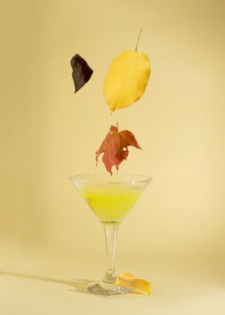 Leaves above martini glass, autumn abstract design