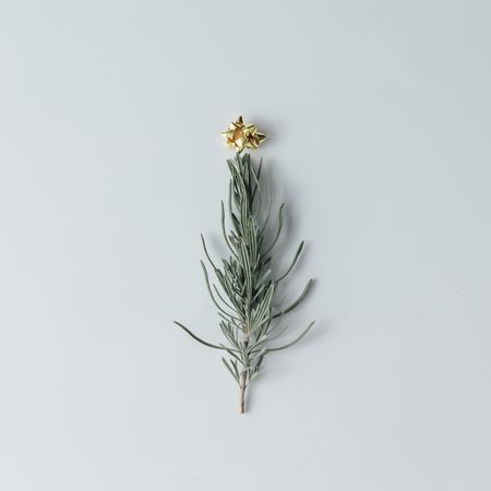 Christmas tree made of rosemary topped with gold bow on light background