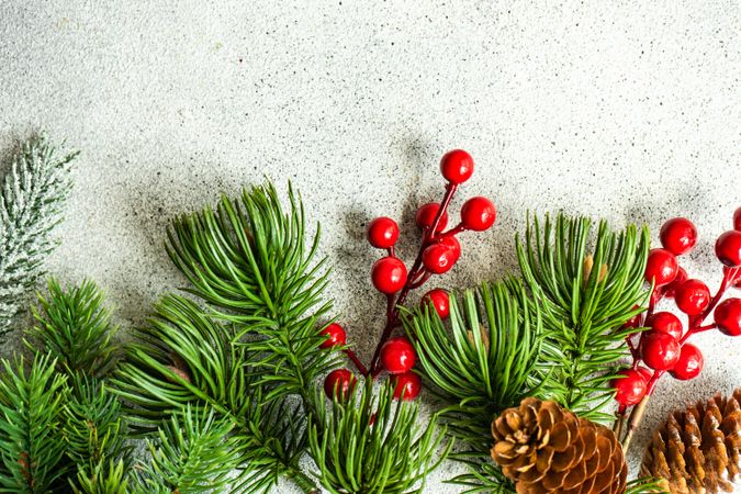 Christmas card concept of and pine on concrete