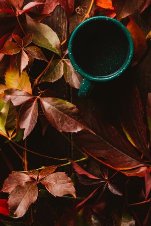 Autumn leaves on old book with cup on wooden surface