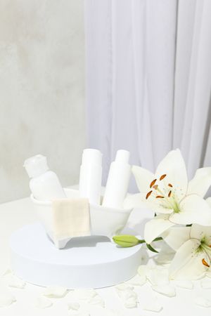 Concept of cosmetic and beauty care, space for text