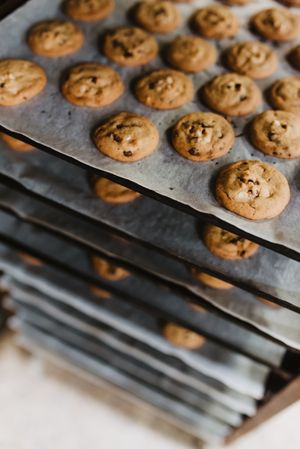 Rack with freshly baked cookies