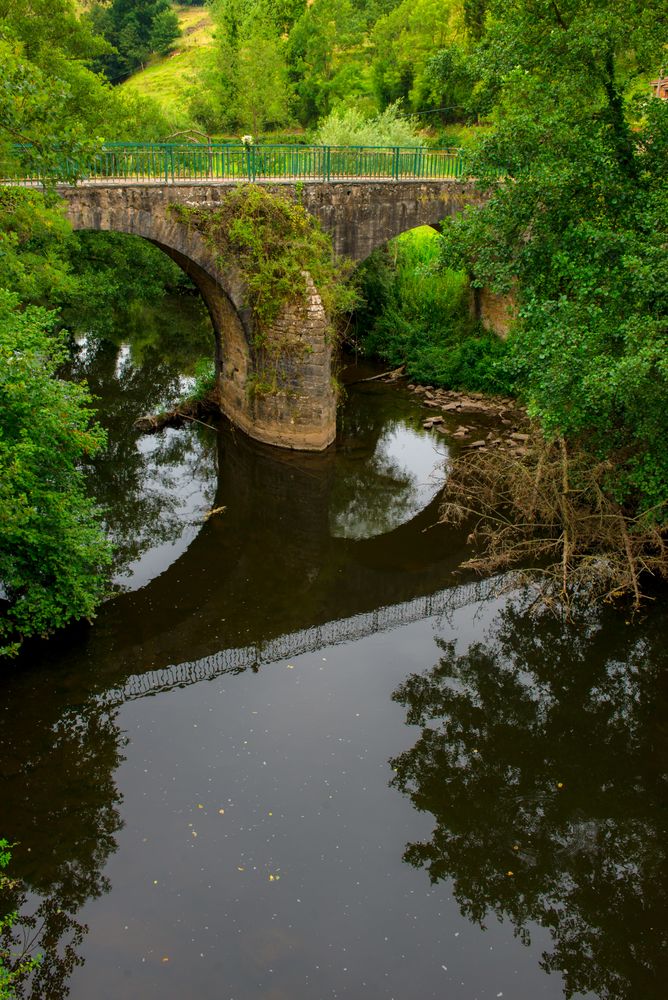 Tranquil river in green vegetation with aged bridge