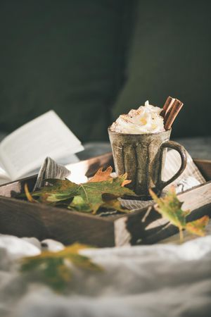 Mug of warm drink topped with whipped cream, on wooden trey, with book in background