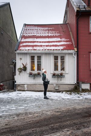 Cheerful female against northern house