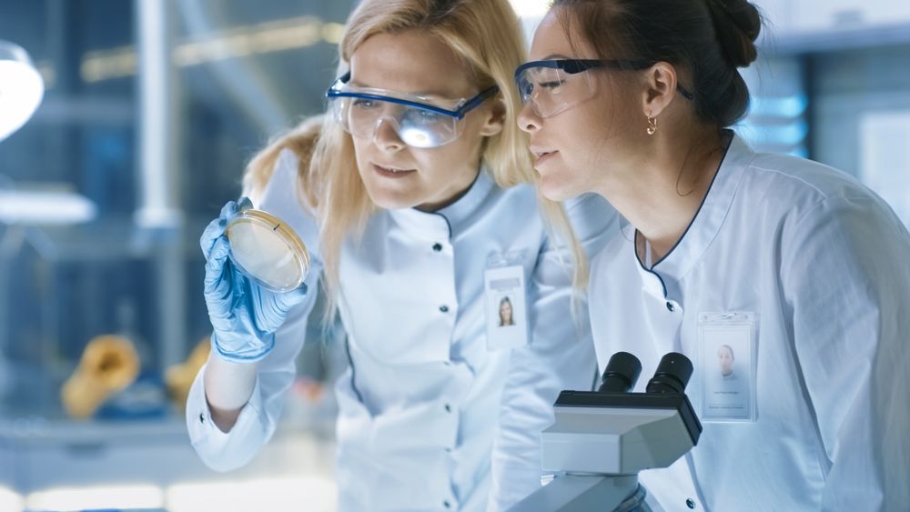 Medical Research Scientists Examine Petri Dish Sample and Look at Samples Under Microscope.