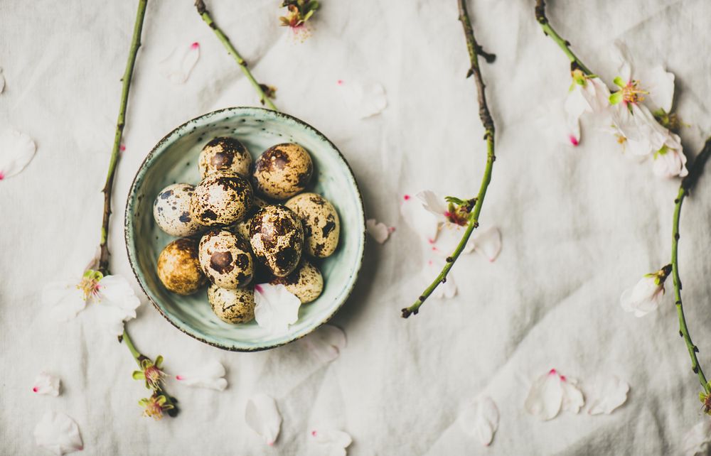 Quail eggs in bowl and blooming branches of almond tree, selective focus
