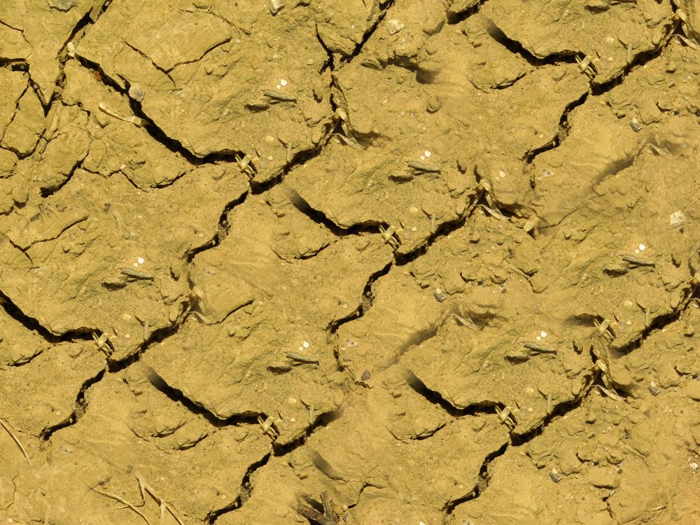 dry ground texture outdoors