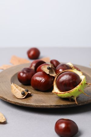 Fresh and ripe chestnuts, Autumn season chestnuts