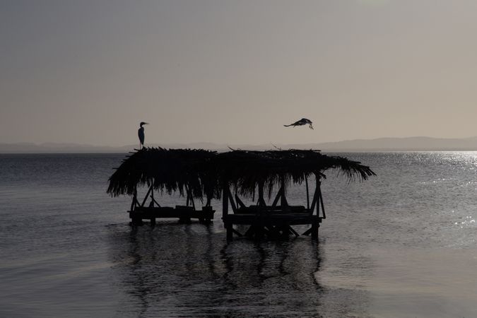 Laundry in sea at sunset