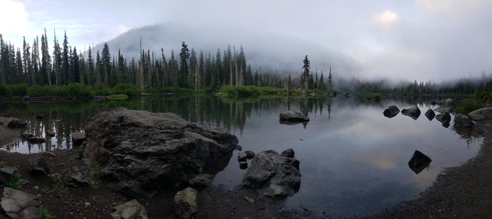 Green pine trees beside river during foggy weather in Snoqualmie Pass,Washington,United States