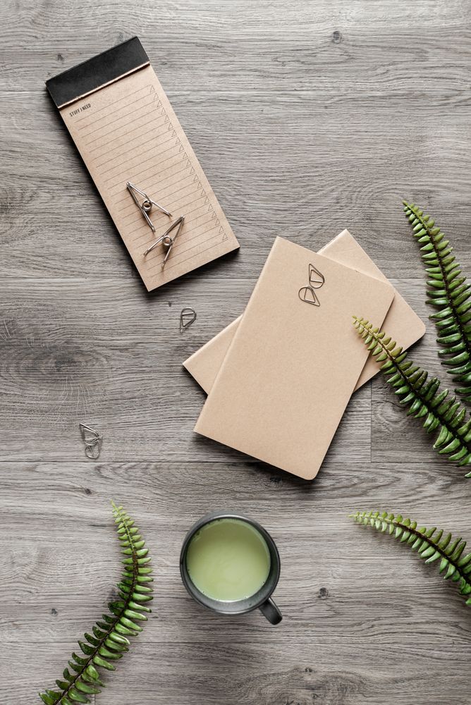 Fern leaves with drink and stationary