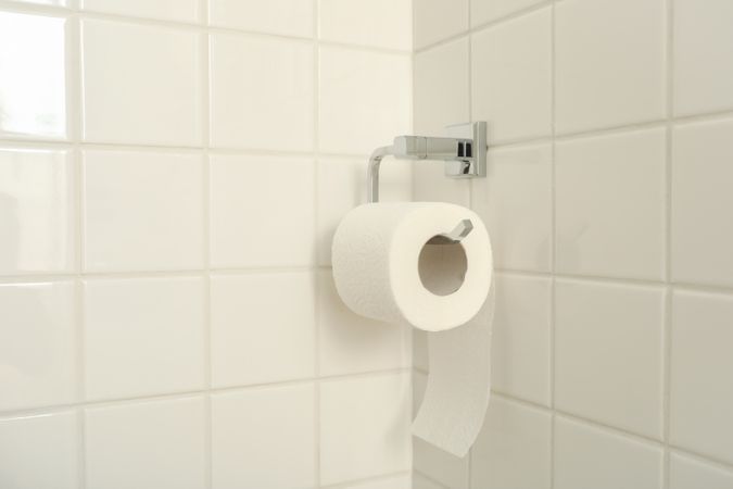 Concept of interior, toilet room, toilet paper