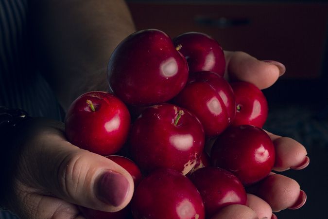 Crop hands with ripe cherries
