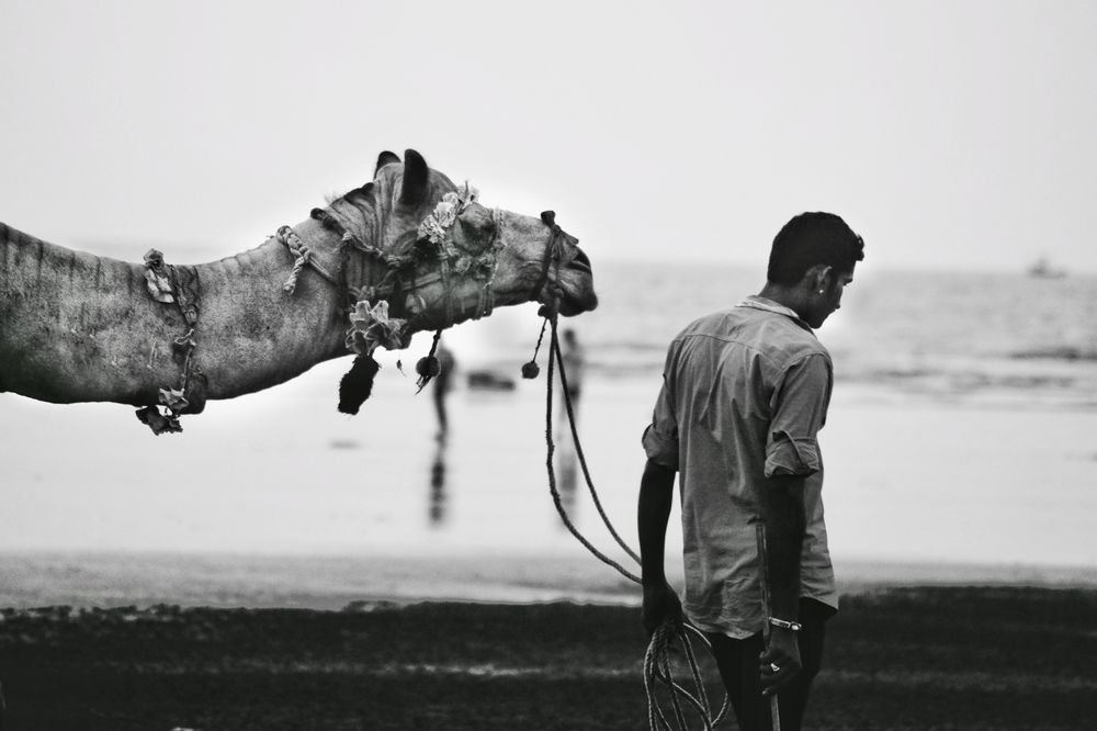 Grayscale of man near camel on the beach