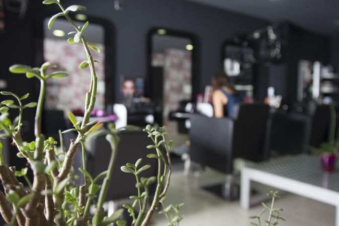 Hair salon with plant in foreground