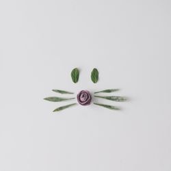 Bunny rabbit face made of natural green leaves on bright background