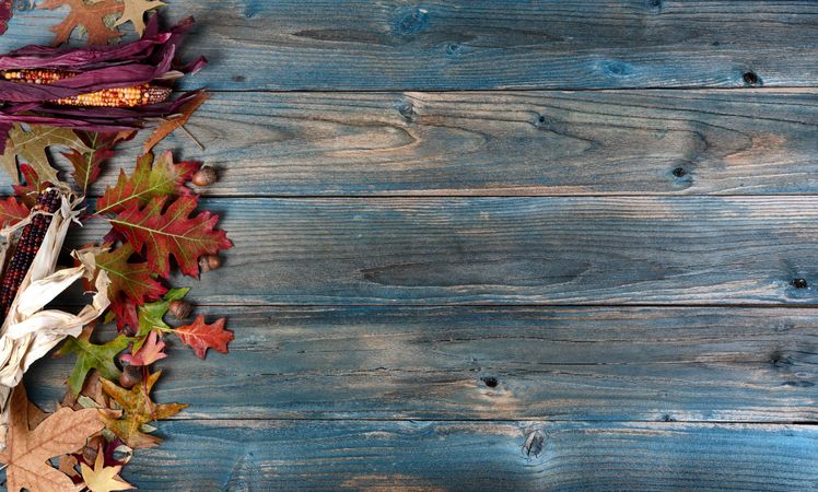 Autumn border on blue rustic wood