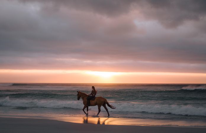 Beautiful evening at the beach with a woman riding horse