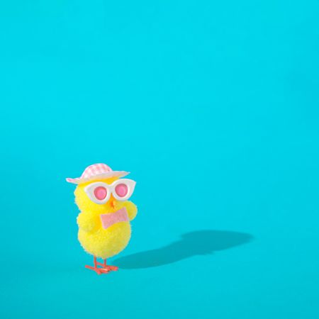 Cute yellow chick in pink sunglasses and hat