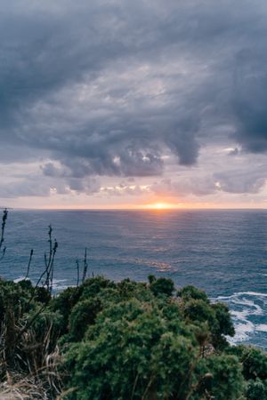 Grassy shore near stormy sea in evening