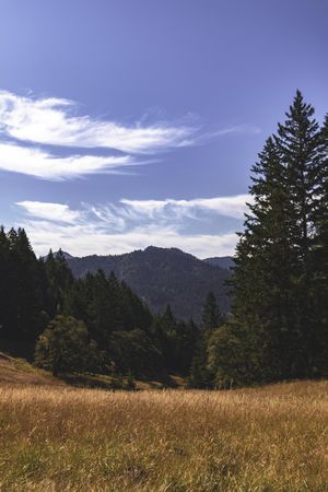Mountains in summer time with clouds in the blue sky, vertical