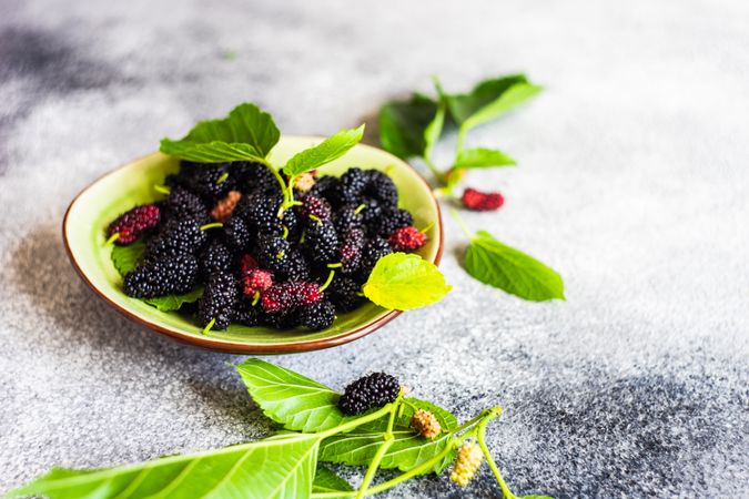 Organic mulberry in a bowl