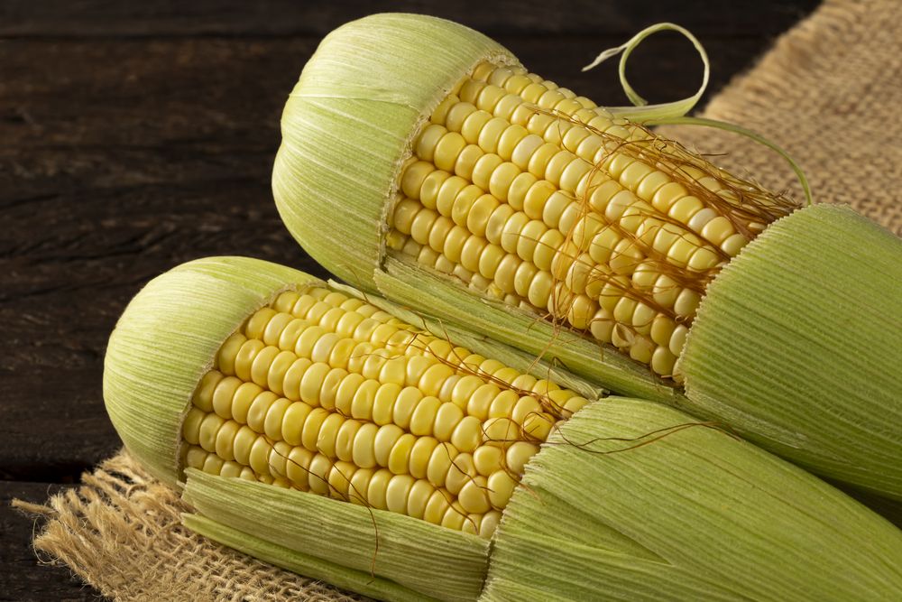 Green corn on the wooden table.