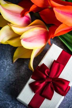 Bright tulip flowers on concrete background with gift box wrapped with red ribbon