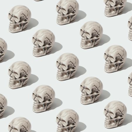 Row of skulls on light  background