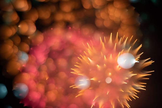 Bright fireworks on night sky