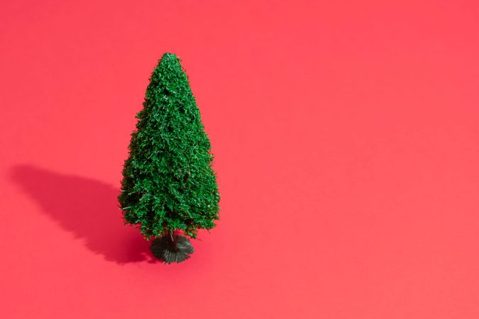 Single green Christmas tree on bright salmon red background