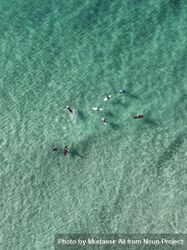 Top view of professional surfers in the beautiful ocean water 0WRPOb