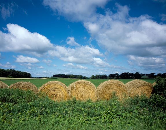 Hay rolls, Iowa