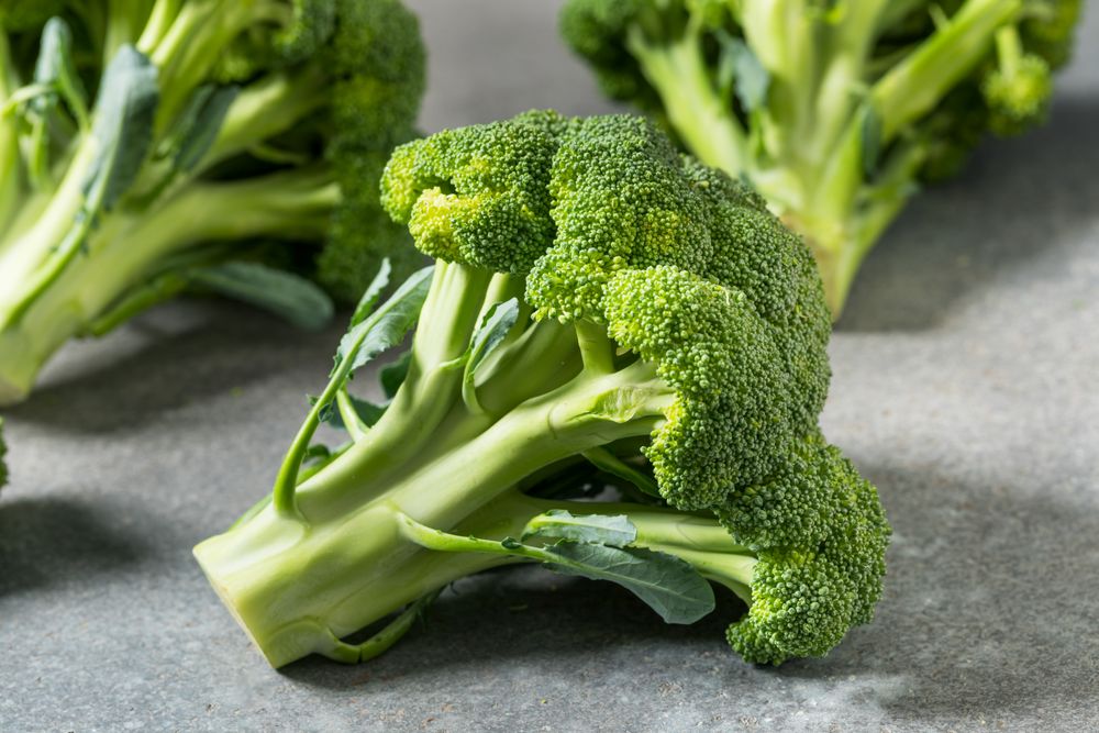 Raw Organic Green Broccoli Head