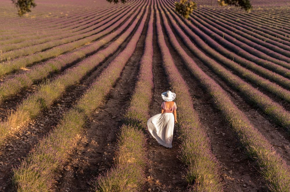 Woman standing in lavender field