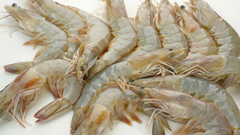 Fresh shrimps on light background, food preparation.