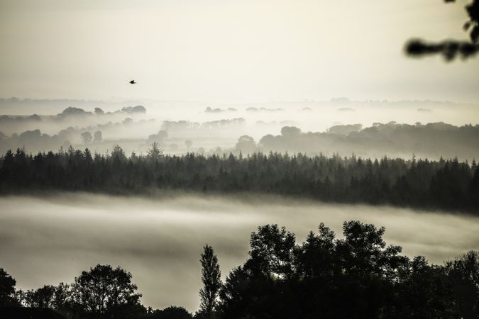 Morning foggy moment