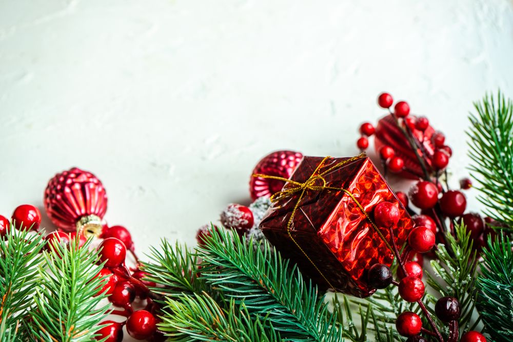 Green wintry branch with red decorations on bright background with copy space