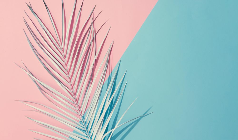 Tropical painted leaf on pink and blue background
