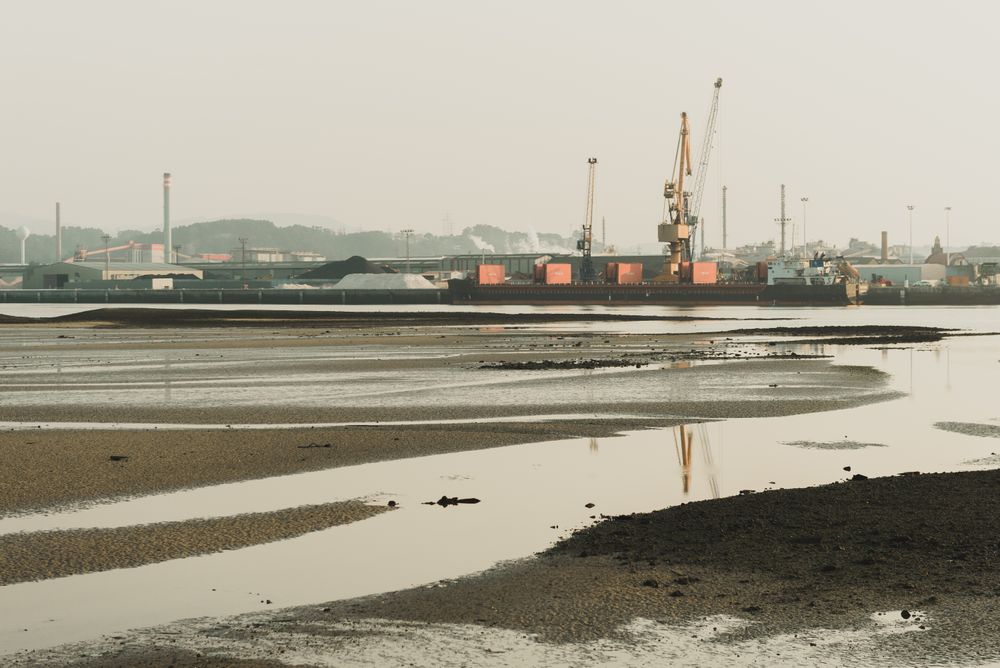 Industrial landscape with sea bay and port cranes