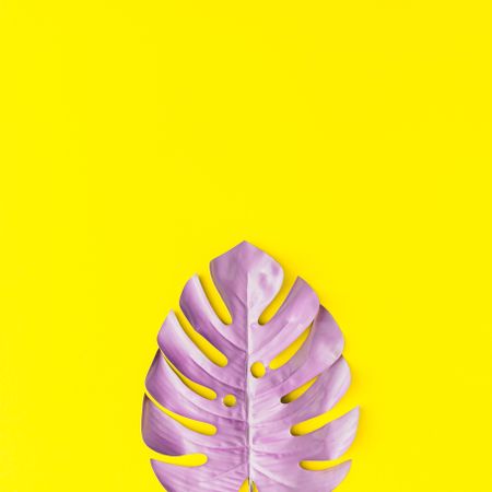 Painted tropical leaf in vibrant bold colors on yellow background