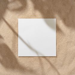 Sand with palm leaf shadows and central square