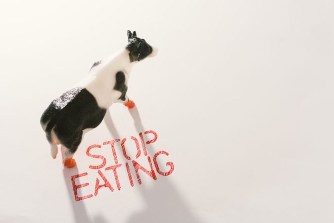 Slogan calling to stop eating animals