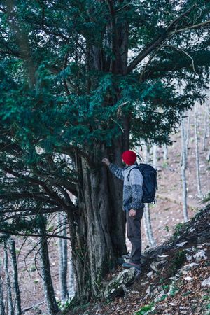 Male hiker standing next to green tree