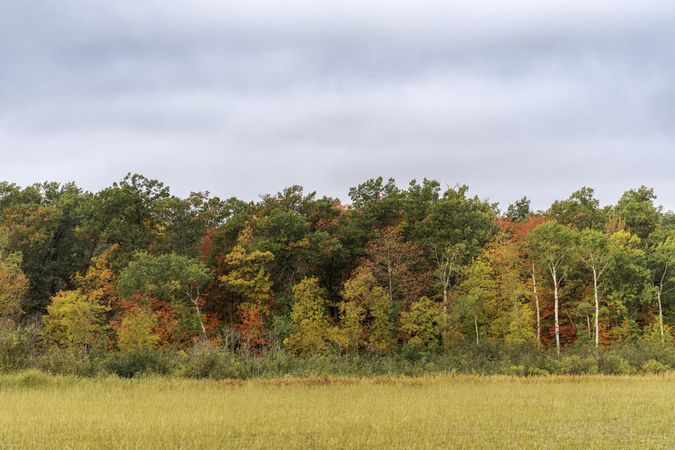 Fall colors on Big Sandy Lake in McGregor, Minnesota