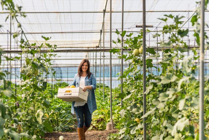 Smiling farmer carrying crate with crop in greenhouse
