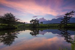 Green trees beside lake under pink sky with reflection on water